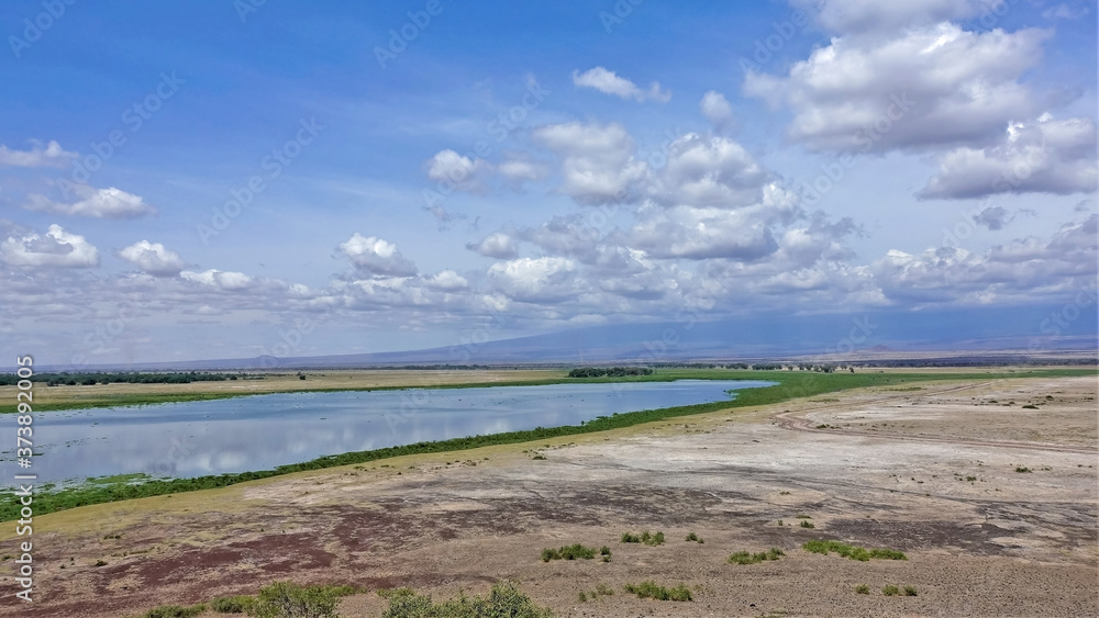 A blue lake on the dry red-brown land of the savannah. Some green vegetation. Sunny day. Fluffy clouds hide the summit of Mount Kilimanjaro and are reflected in the smooth water. Kenya. Amboseli park.