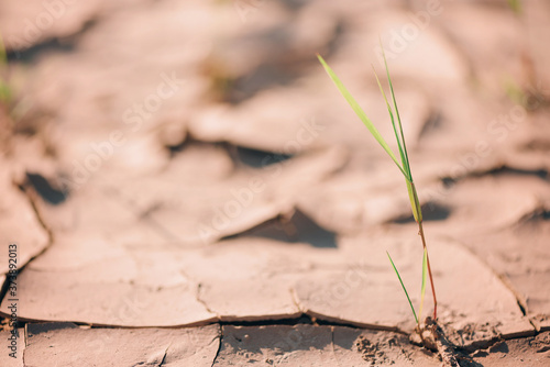 Dry land ground. Global warming problem. Desert concept. Cracked soil caused by dehydration. Water crisis. Cracked earth