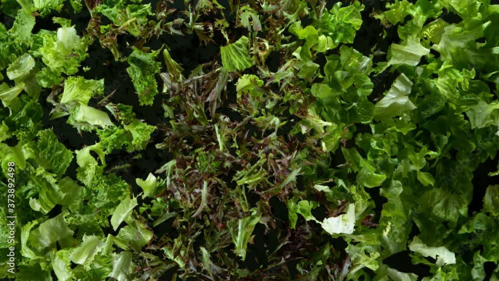 Super Slow Motion Shot of Exploding Variation of Green Salad at 1000fps. Super Slow Motion Shot of Exploding Variation of Green Salad at 1000fps.