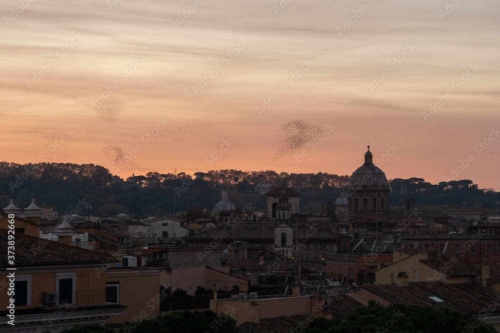 Vistas del atardecer con una bandada de pájaros en Roma