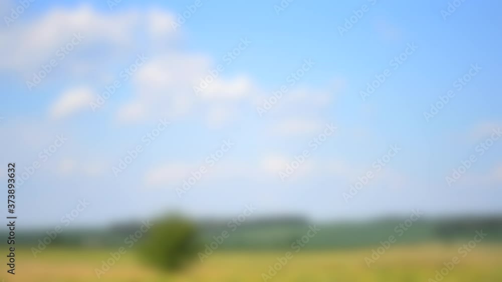 Blurred background. field on a hot summer day, timelapse HD 1080 Blurred background. field on a hot summer day, timelapse HD 1080