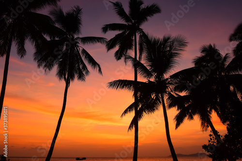 sunset on the beach © NextStopWorldPhoto