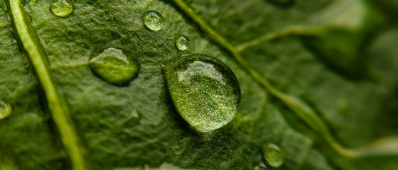 Papier peint photo Photographie macro Goutte d'eau en suspension macro  © Николай Срибяник