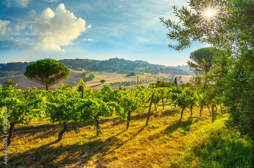 Casale Marittimo village and vineyards, landscape in Maremma. Tuscany, Italy.