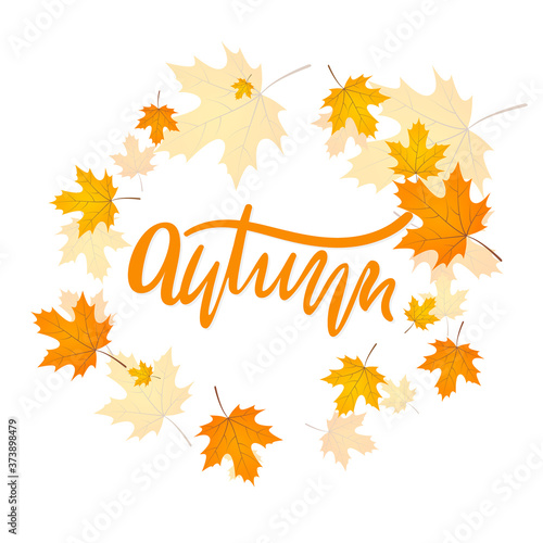 Vector handwriting word autumn. Hand drawn lettering autumn with maple leaves. Modern calligraphy.