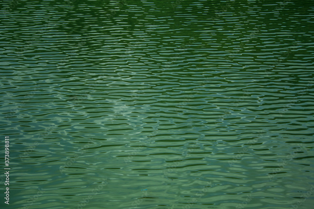 shallow waves on a green lake