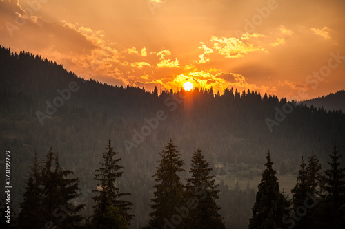 Magical sunset in the mountains behind the coniferous trees © alipko