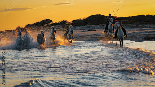 Aigues-Mortes - France - Cavalcade de juments au coucher du soleil sur la plage