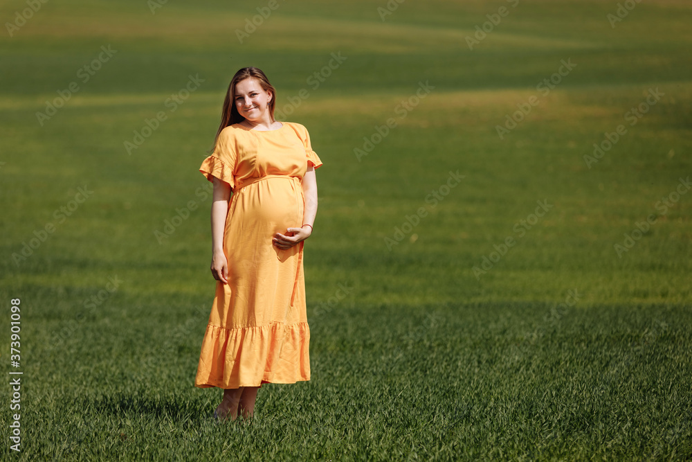 Beautiful young pregnant woman in long dress in the green field on summer day. Happy maternity and pregnancy concept