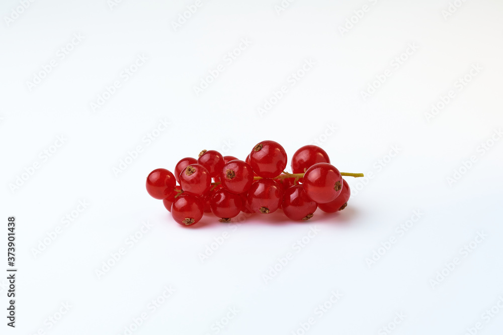 One sprig of red ripe currant One sprig of red ripe currant
