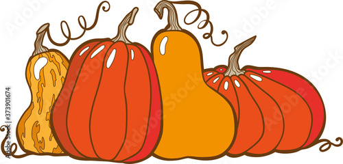 pumpkin orange and yellow set vector insolate
