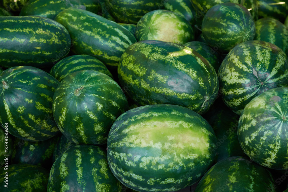 fresh watermelon on the market fresh watermelon on the market