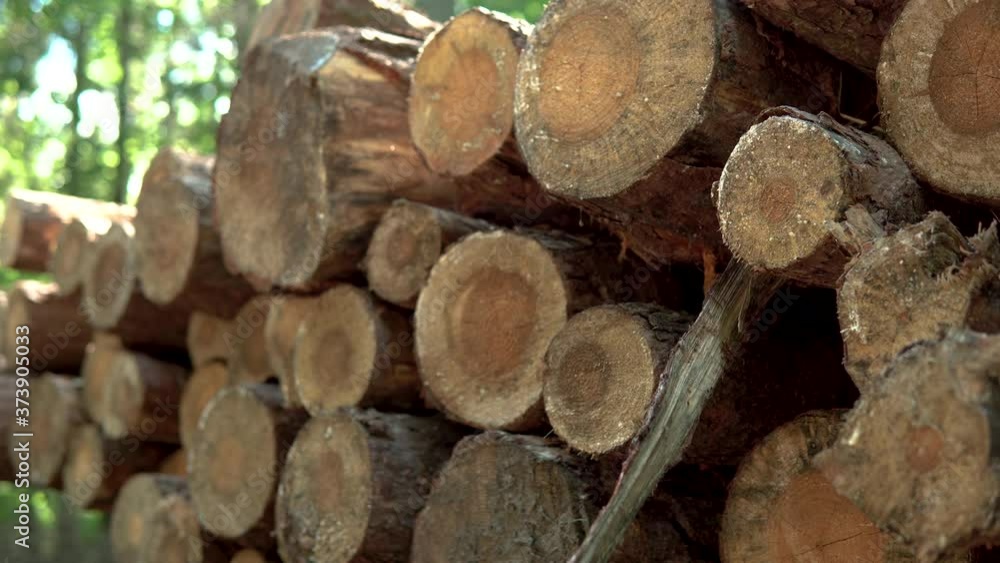 stack of cut wood laid out on a cluster, tree prepared for processing, close up and macro, down to top stack of cut wood laid out on a cluster, tree prepared for processing, close up and macro, down to top