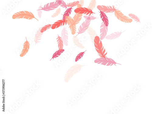 Detailed majestic feather on white design.