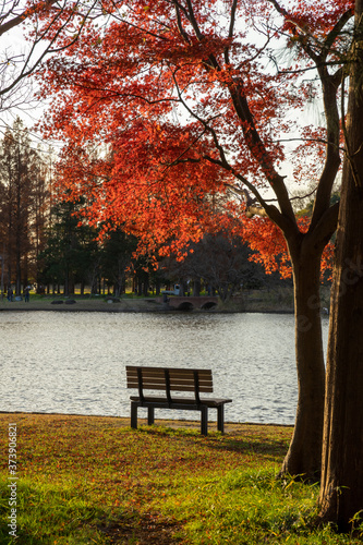 秋のみさと公園 © inoumasa
