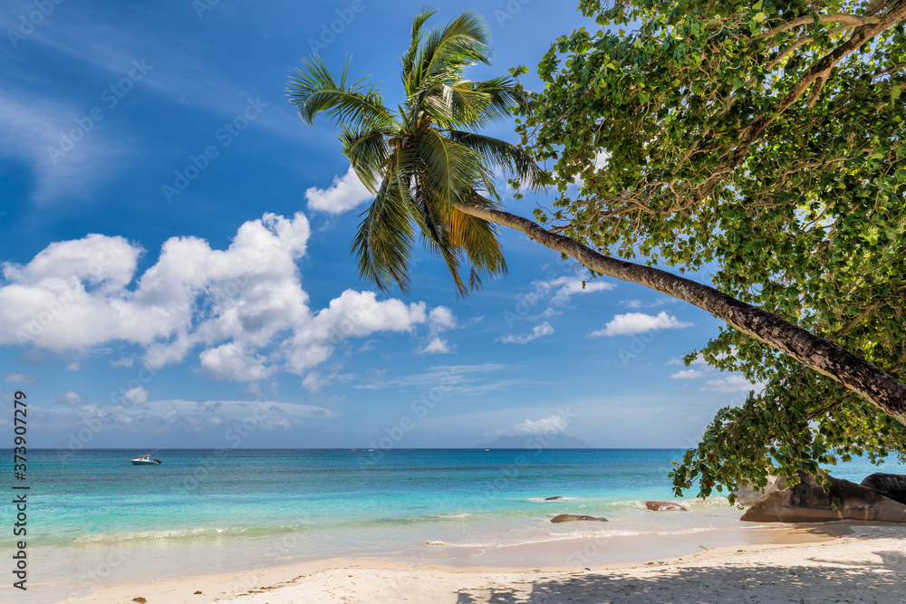 Beautiful tropical white sand beach with coco palms and the turquoise sea on Caribbean island.	