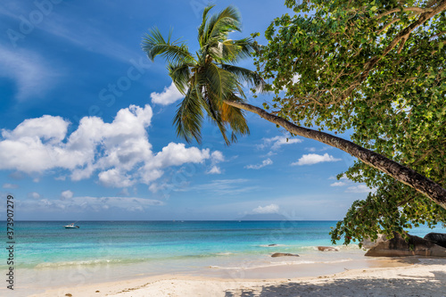 Beautiful tropical white sand beach with coco palms and the turquoise sea on Caribbean island. 