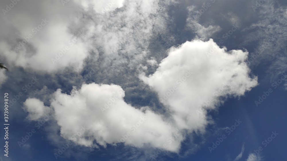 Obraz premium clouds in the sky