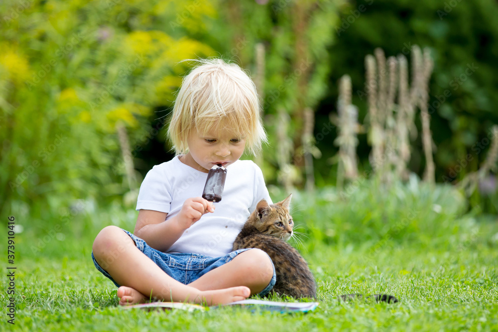 Cute blond toddler child, sweet boy, playing in garden with little kitten, reading book summertime Cute blond toddler child, sweet boy, playing in garden with little kitten, reading book summertime