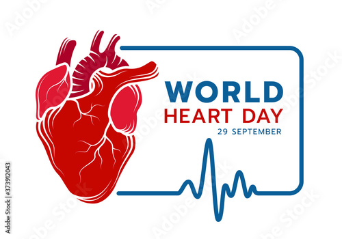 world heart day with red Real human heart Drawing sign line and blue frame Of Heart Rhythm Or Heart Wave vectir design