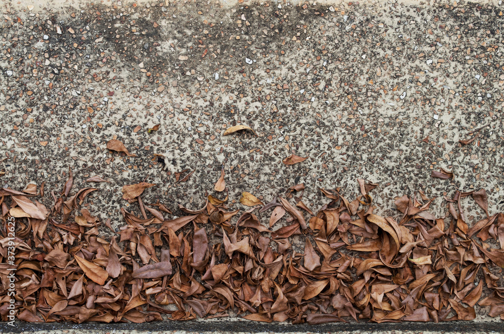 Cement, gravel and dry leaves for the background. Cement, gravel and dry leaves for the background.