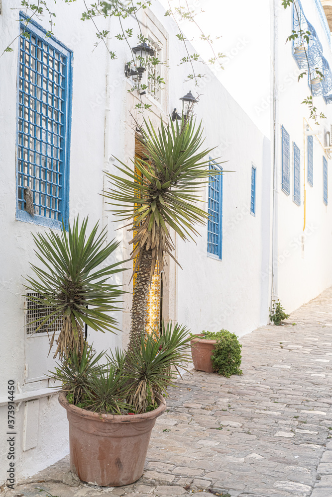 Naklejka premium View in Sidi Bou Said ,Tunisia, North Africa