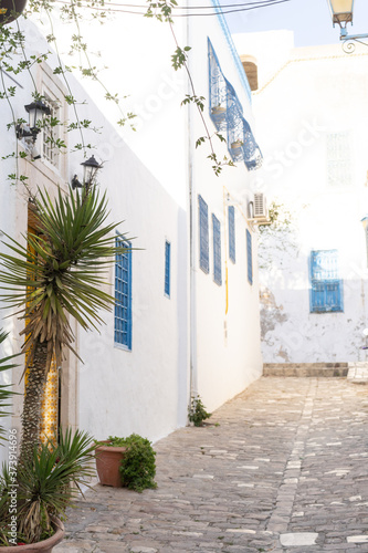 View in Sidi Bou Said ,Tunisia, North Africa