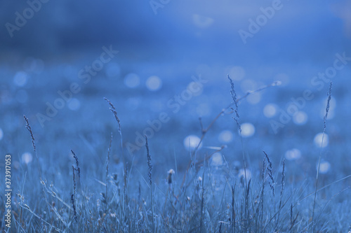 Fototapeta Naklejka Na Ścianę i Meble -  Fantasy image of blue field