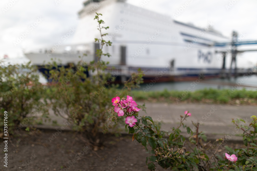 Blumen vor Schiff Blumen vor Schiff