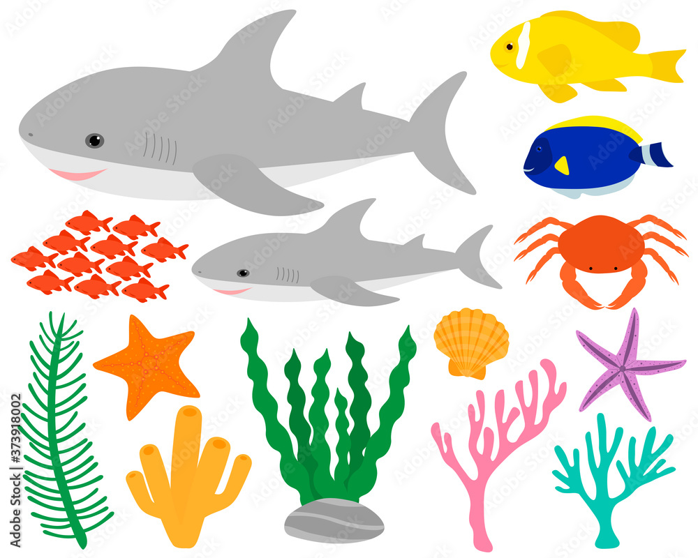 Fototapeta premium Set cute shark and sea elements fish crab algae corals seashell starfish vector illustration