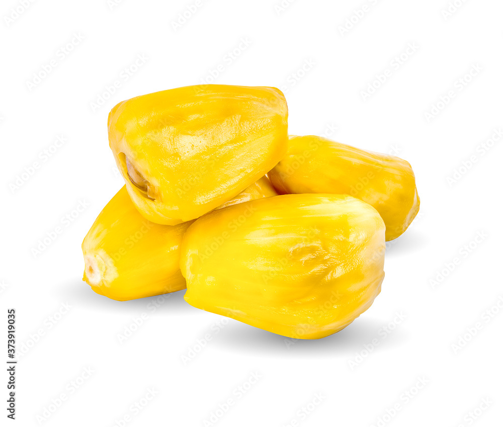 jackfruit isolated on white background jackfruit isolated on white background