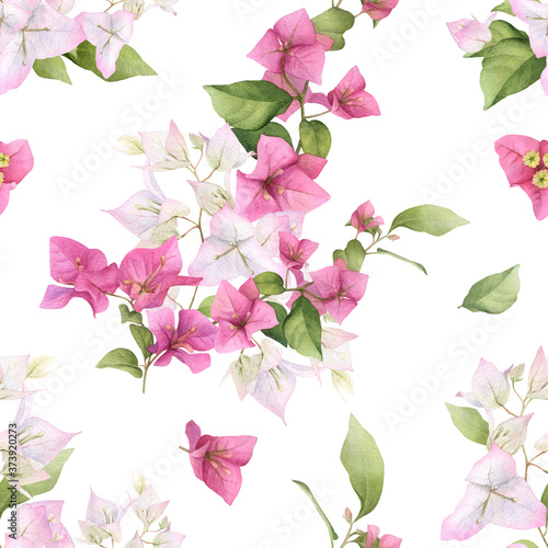 A floral seamless pattern of the pink bougainvillea and green leaves hand drawn in watercolor isolated on a white background. Watercolor floral seamless pattern. Bougainvillaea pattern