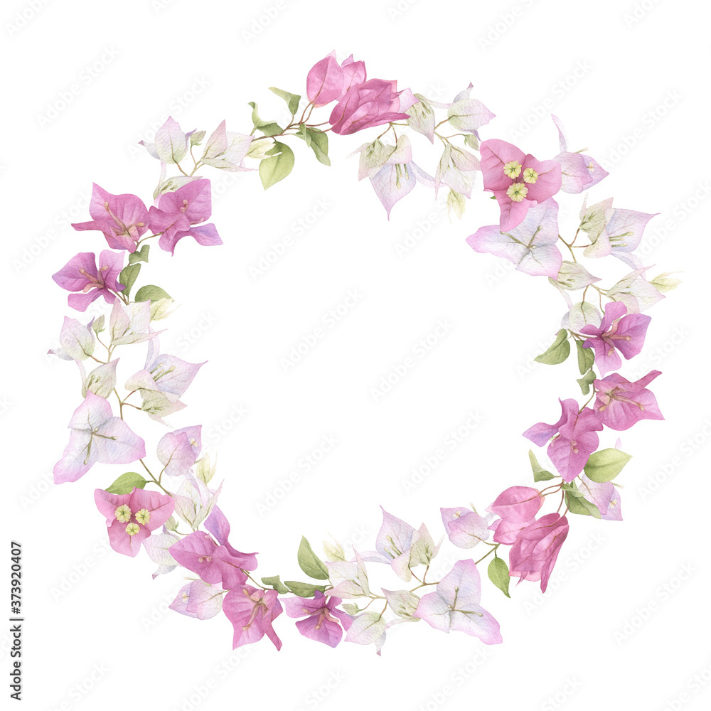 A pink bougainvillaea floral wreath hand painted in watercolor isolated on a white background. Watercolor floral frame. Watercolor bougainvillea frame.