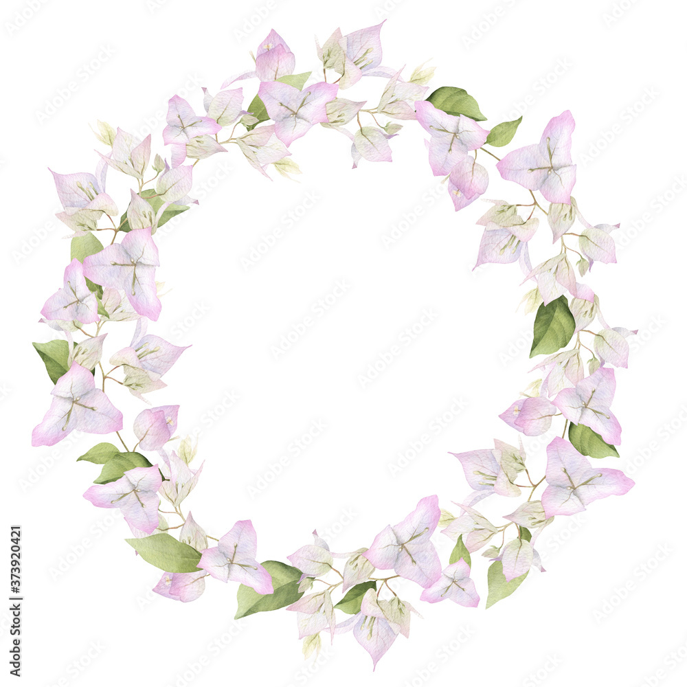 A light pink bougainvillaea floral wreath hand painted in watercolor isolated on a white background. Watercolor floral frame. Watercolor bougainvillea frame.