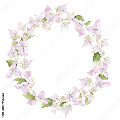 A light pink bougainvillaea floral wreath hand painted in watercolor isolated on a white background. Watercolor floral frame. Watercolor bougainvillea frame.