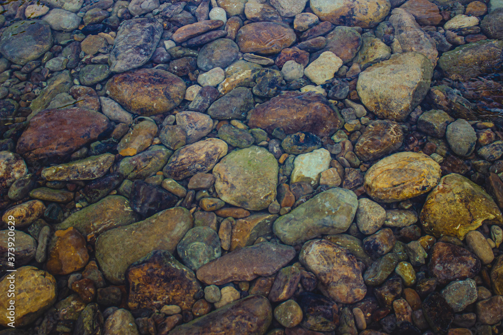 
texture of river stone in water