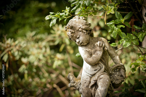 Garden Sceenes at Altamont Gardens near Ballon County Carlow. photo