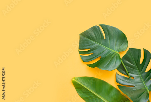 Tropical palm tree leaf and hat on a yellow background. Vibrant minimal fashion concept