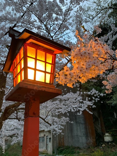 lantern in the park © Taiki