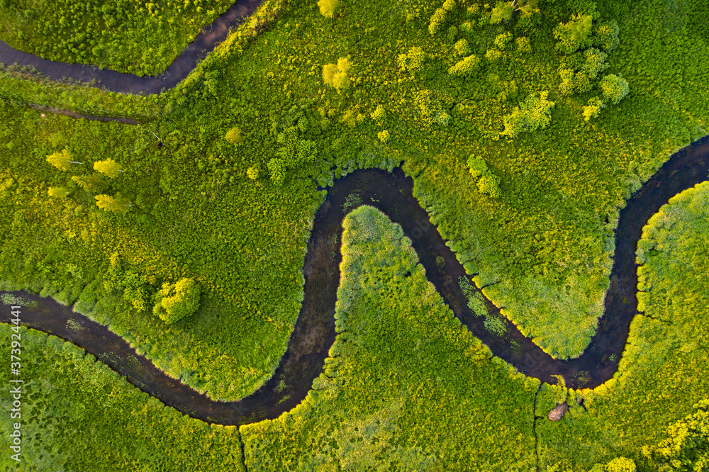 Fototapeta premium Aerial view to green land and river in summertime