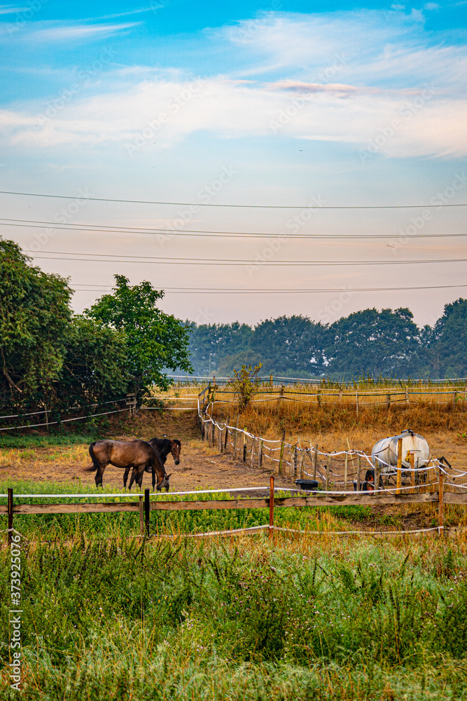 Obraz premium Niederrhein