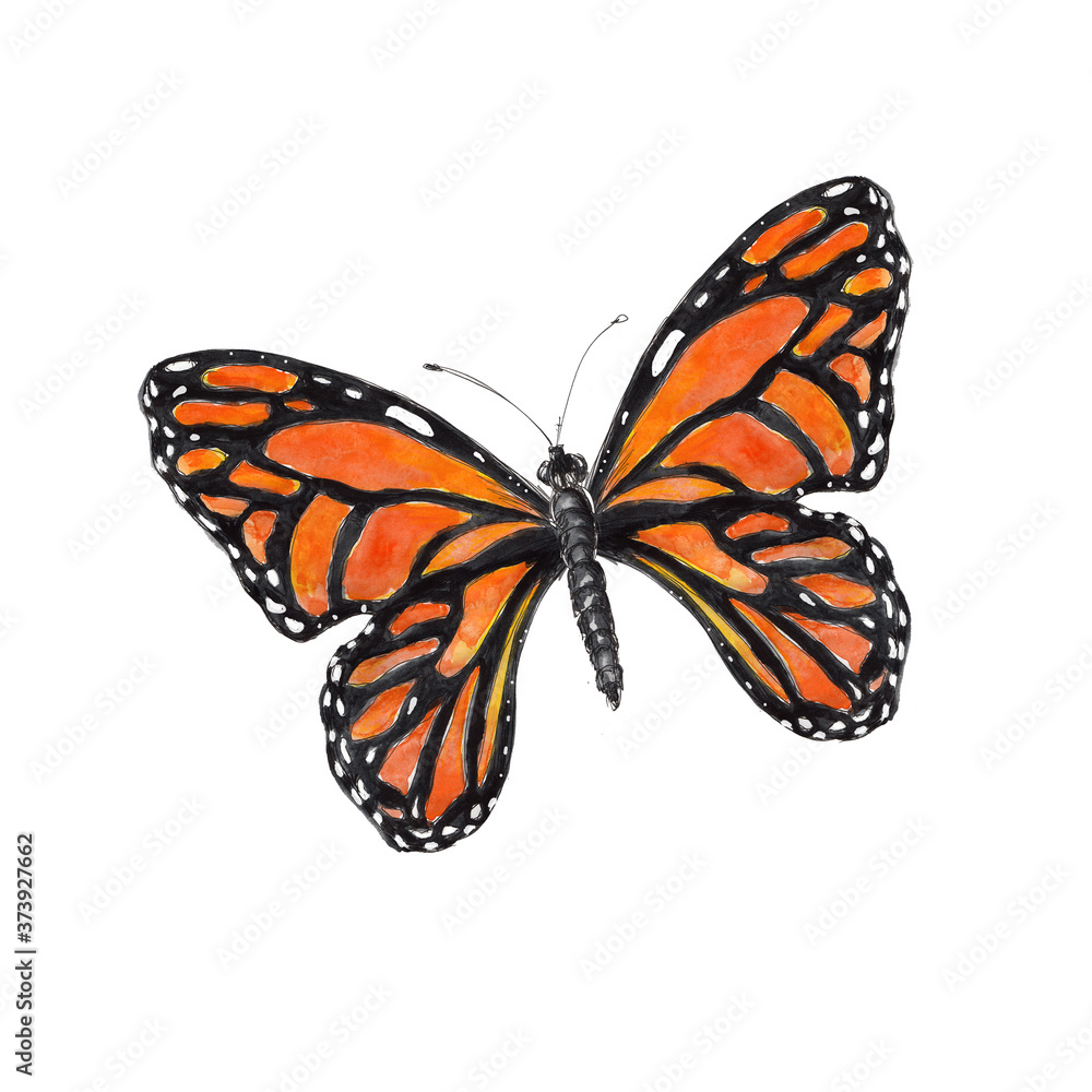 Fototapeta premium Insects watercolor icons isolated on white background