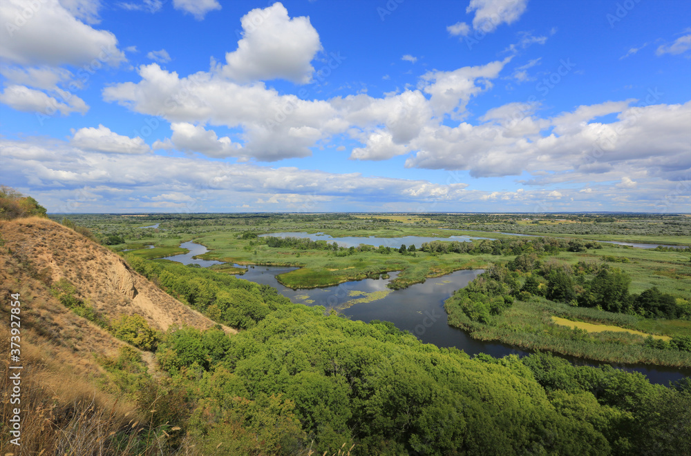 view on delta river from hill slope