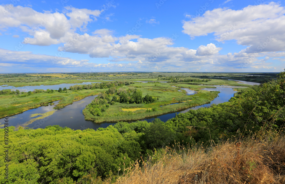 Naklejka premium view on delta river from hill