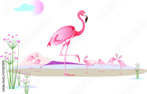 Bird pink flamingo on the seashore or lake and a flock of flamingos in the back against the background of mountains with flowering plants around. Vector picture for design.
