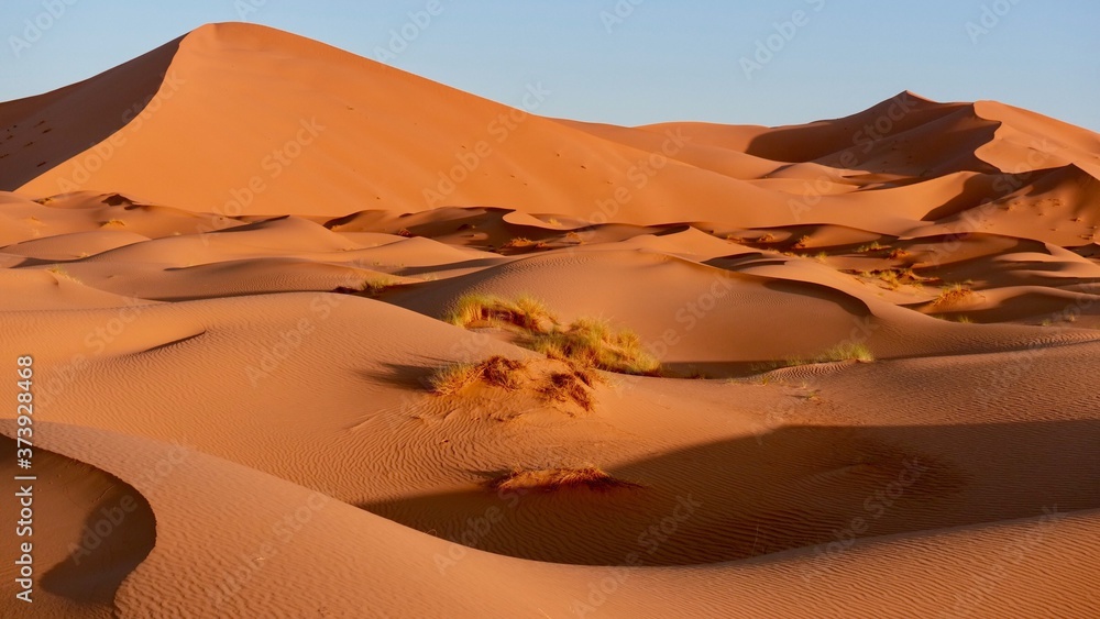 Fototapeta Sanddünen im Morgenlicht in der Sahara in Marokko