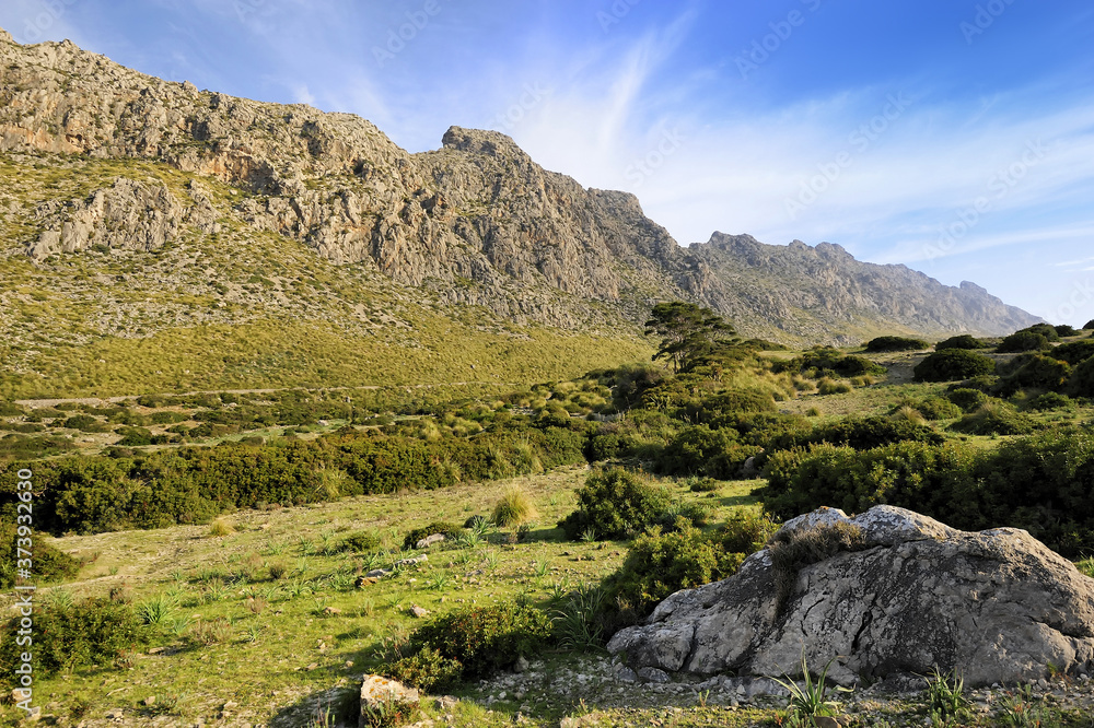 Fototapeta premium the Boquer Valley, Majorca, Spain
