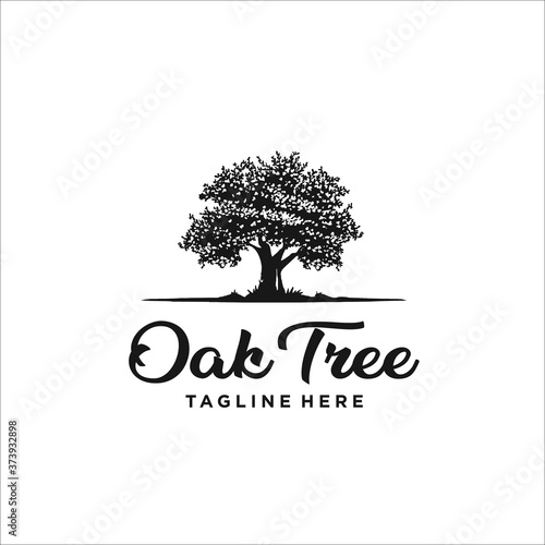 oak tree logo design template silhouette vector