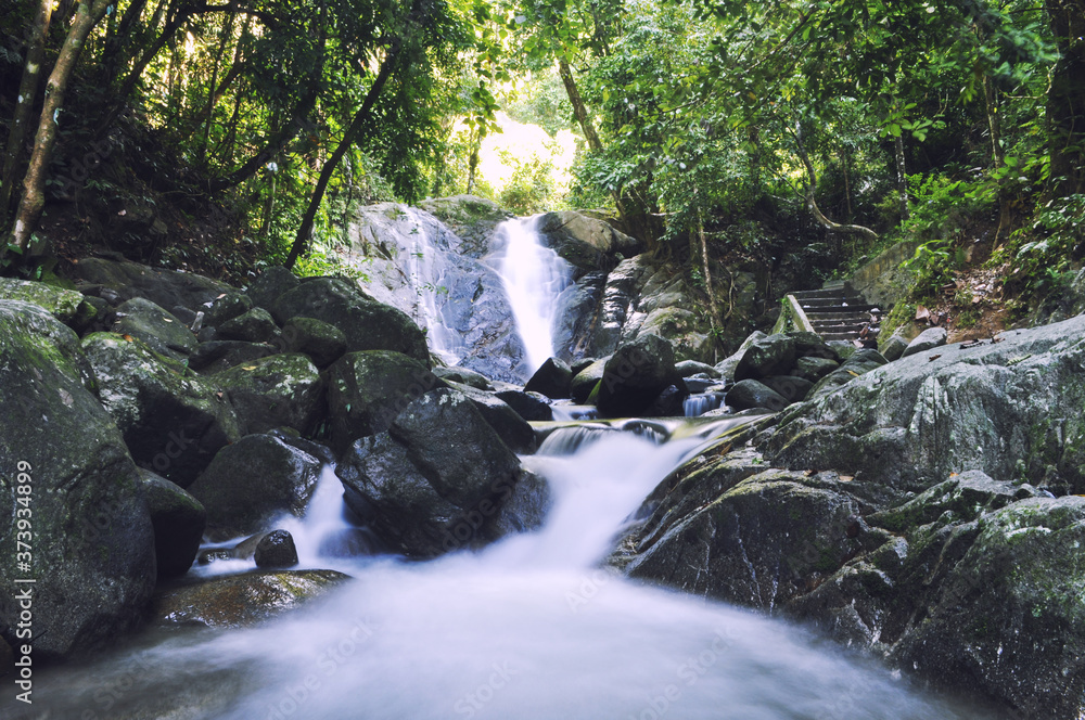 Fototapeta premium small waterfall in the forest