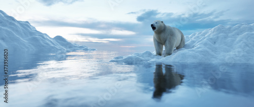 Polar bear on iceberg. Melting ice and global warming.